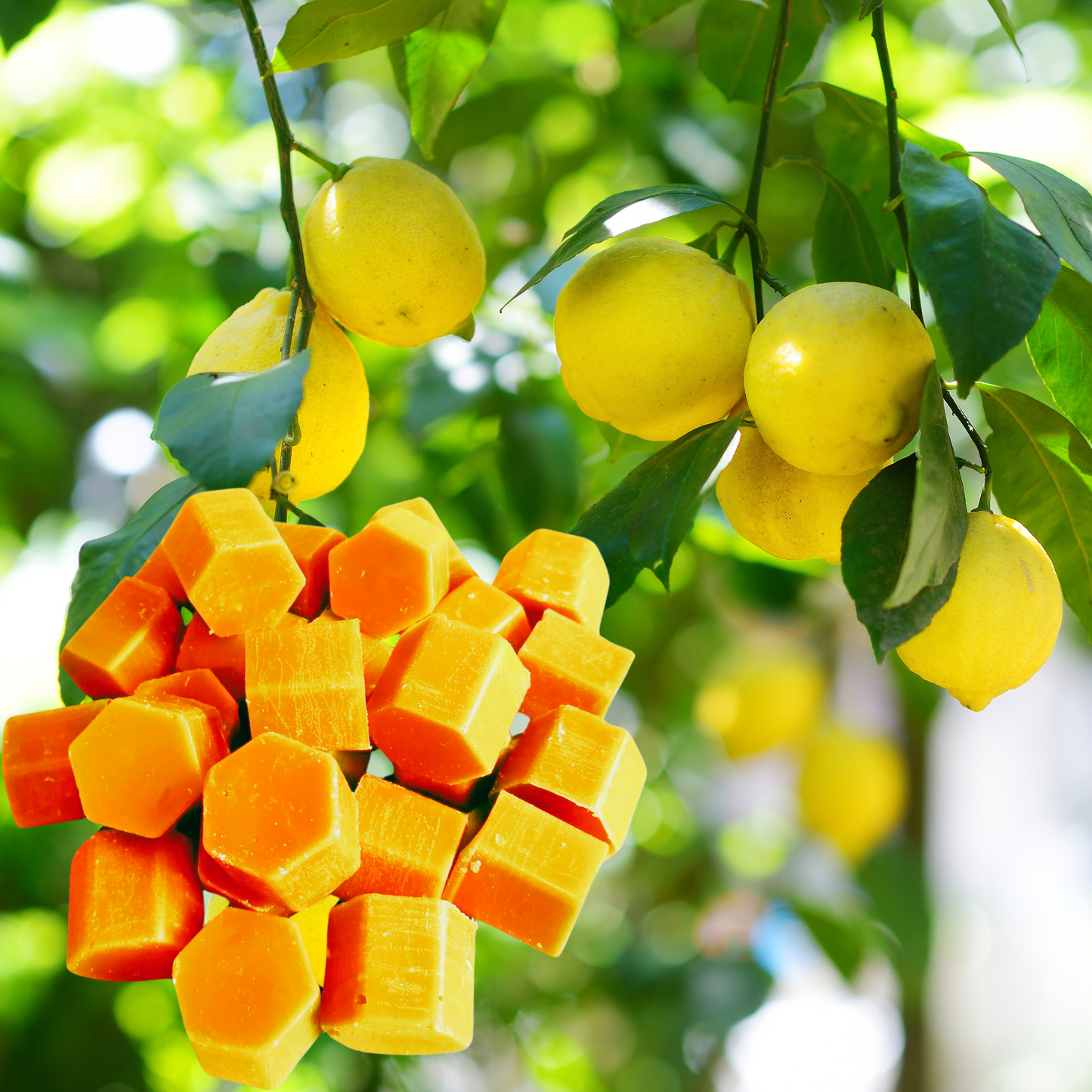 Duftwachs Melts, fruchtige ätherische Öle, aus Bienenwachs und Sojawachs, das perfekte Geschenk für ein gemütliches Zuhause, ohne Zusätze