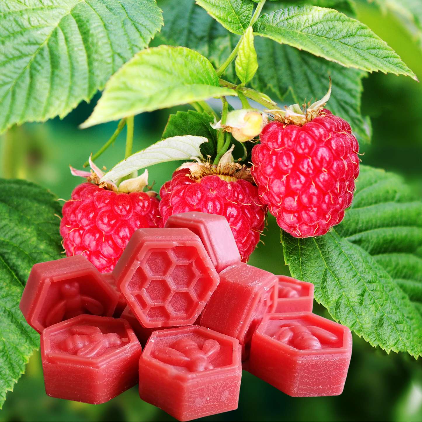 Duftwachs Melts, fruchtige ätherische Öle, aus Bienenwachs und Sojawachs, das perfekte Geschenk für ein gemütliches Zuhause, ohne Zusätze