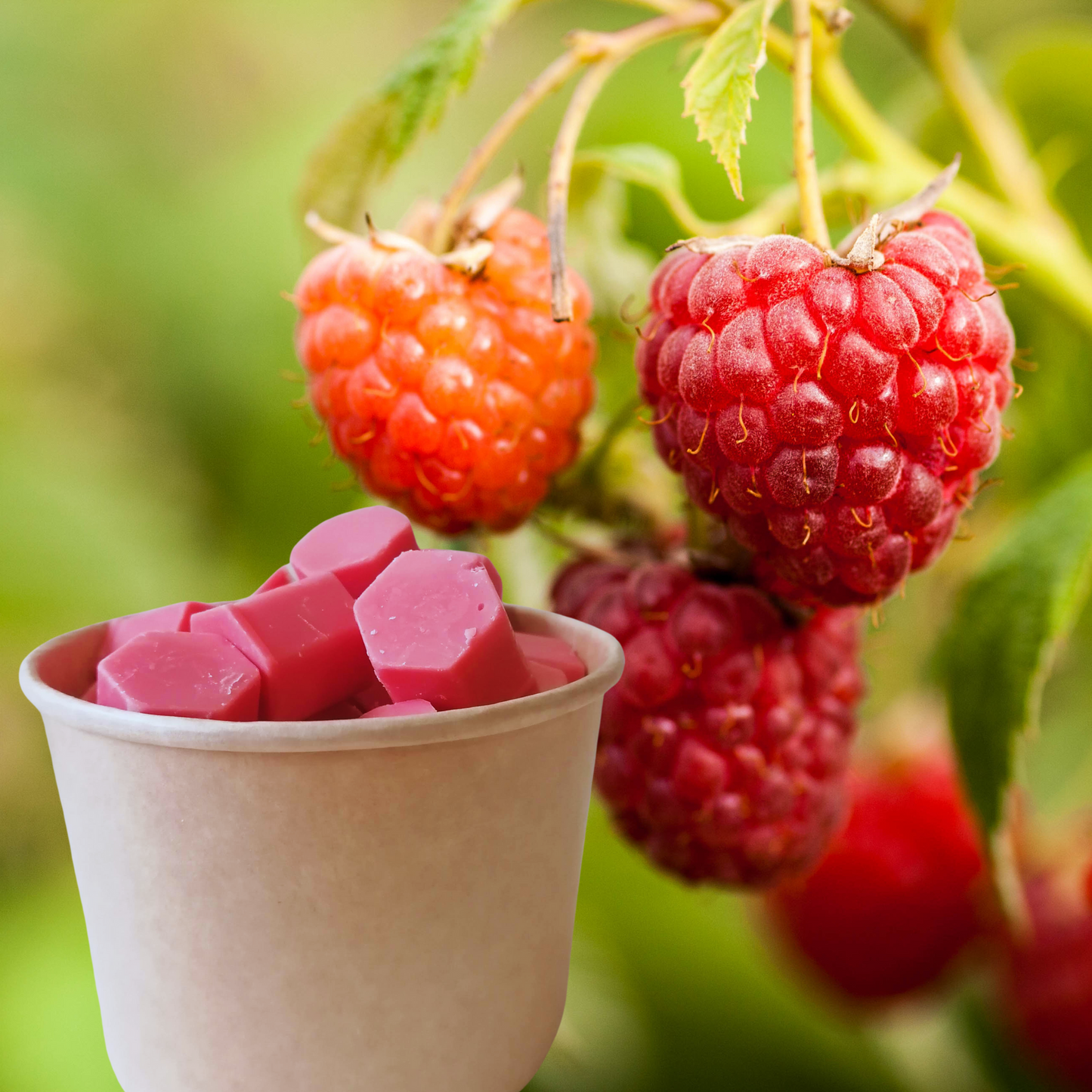 Duftwachs Melts, fruchtige ätherische Öle, aus Bienenwachs und Sojawachs, das perfekte Geschenk für ein gemütliches Zuhause, ohne Zusätze