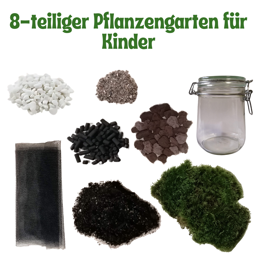 DIY Flaschengarten, Starter Kit für Kinder, Mini Pflanzenwelt, Kreativ-& Lernspaß, Nachhaltiger Mini-Garten, Geschenk für Kinder